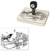 Fairy en Raven gesprek Rubberstempel (Gestempeld)