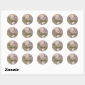 Fairy en Swan Ronde Sticker (Vel)