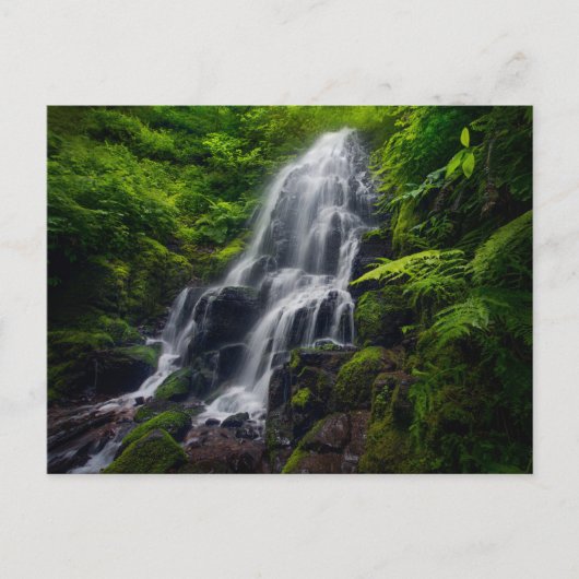 Fairy Falls | Colombia River Gorge Oregon. Briefkaart (Voorkant)