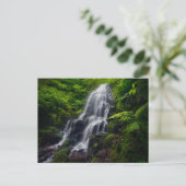 Fairy Falls | Colombia River Gorge Oregon. Briefkaart (Staand voorkant)