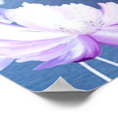 Fairy Floral Poster (Hoek)