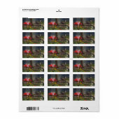 Fairy Forest Adresetiketten Etiket (Full Sheet)