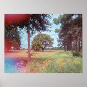 Fairy Forest analoge afdrukken Poster (Voorkant)