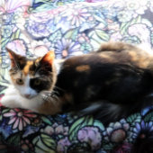 Fairy Garden Gardening Flower Gardens Fairies      Fleece Deken