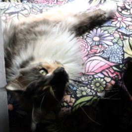 Fairy Garden Gardening Flower Gardens Fairies      Fleece Deken