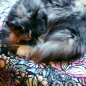 Fairy Garden Gardening Flower Gardens Fairies      Fleece Deken