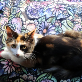 Fairy Garden Gardening Flower Gardens Fairies      Sherpa Deken