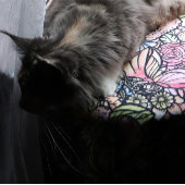 Fairy Garden Tuinieren Fleece Deken