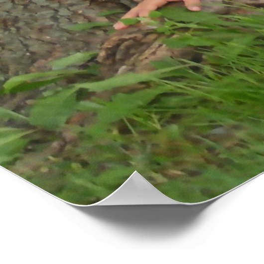 Fairy Girl Poster (Hoek)