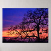 Fairy Girl Silhouetted Tree Sunset Poster (Voorkant)