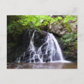 Fairy Glen waterfall, Rosemarkie Briefkaart (Voorkant)