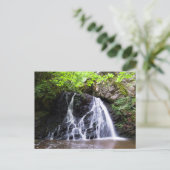 Fairy Glen waterfall, Rosemarkie Briefkaart (Staand voorkant)