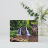 Fairy Glen waterfall, Rosemarkie Briefkaart (Staand voorkant)