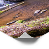 Fairy Glen waterfall, Rosemarkie, Schotland Poster (Hoek)