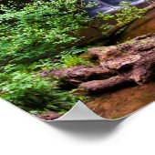 Fairy Glen waterfall, Rosemarkie, Schotland Poster (Hoek)