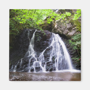 Fairy Glen waterfall, Rosemarkie, Scotland Magnet