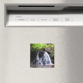 Fairy Glen waterval, Rosemarkie, Schotland Magnet (Insitu (Vaatwasser))