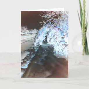 Fairy Glow Blauwgroen Wenskaart Kaart