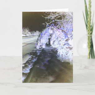 Fairy Glow Paarse Wenskaart Kaart