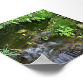 Fairy Hot Spot-fotoachtergrond Poster (Hoek)