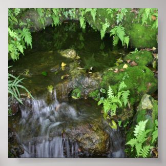 Fairy Hot Spot-fotoachtergrond Poster