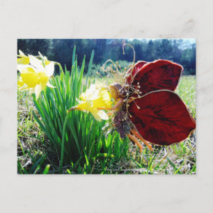 Fairy in the Daffodils Briefkaart