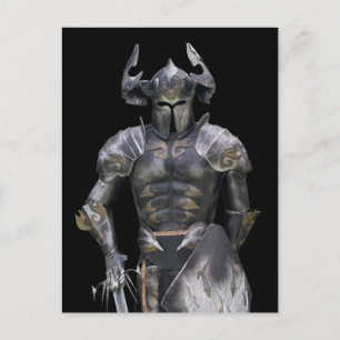 Fairy krijger briefkaart