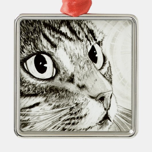 Fairy Light Tabby Cat Fantasy Art Ornament (Voorkant)