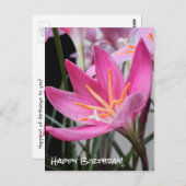 Fairy Lily Birthday Wishes Briefkaart (Voorkant / Achterkant)