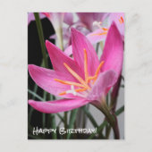 Fairy Lily Birthday Wishes Briefkaart (Voorkant)