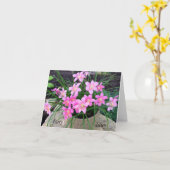 Fairy Lily Note kaarten (Gele Bloem)