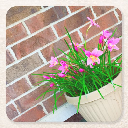 Fairy Lily Onderzetters (Voorkant)