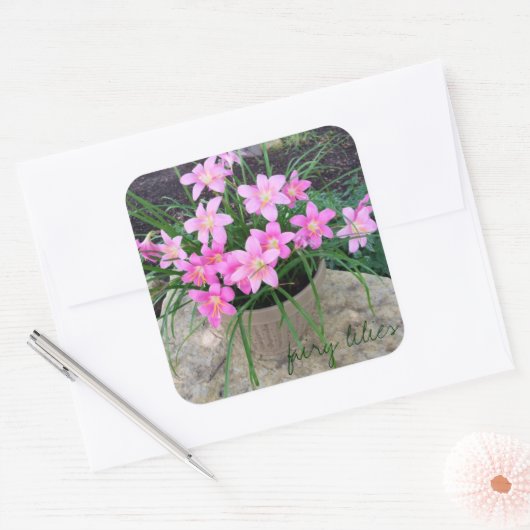 Fairy Lily Stickers (Envelop)