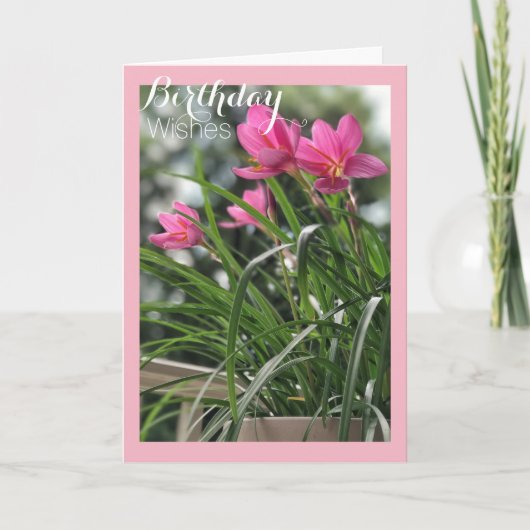 Fairy Lily verjaardagswensen Kaart (Voorkant)