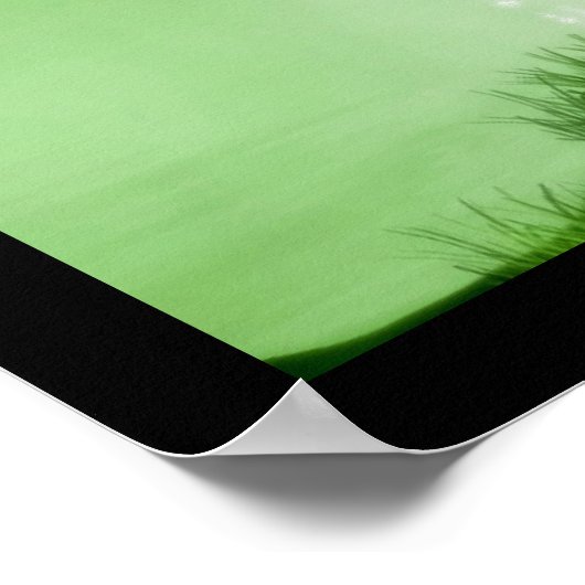 Fairy Magic II Poster (Hoek)