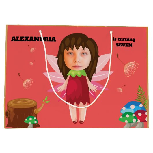 Fairy Magic Pixie New Fun Kinder Fab Groot Cadeauzakje (Achterkant)