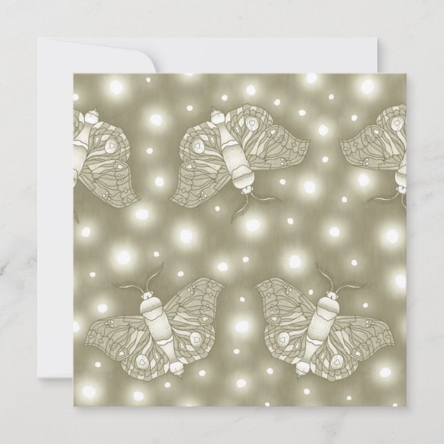 Fairy Moths (Voorkant)