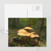 Fairy Mushroom Ring Briefkaart (Voorkant / Achterkant)