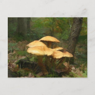 Fairy Mushroom Ring Briefkaart