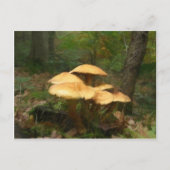 Fairy Mushroom Ring Briefkaart (Voorkant)