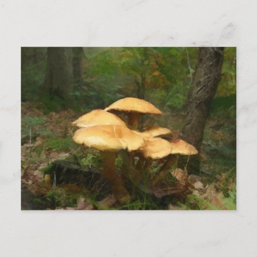 Fairy Mushroom Ring Briefkaart (Voorkant)