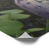 FAIRY OF THE FOREST GIFT POSTER (Hoek)