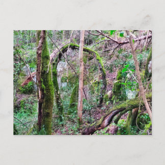 Fairy Portal - Rio de Mouros - Conímbriga - PT Briefkaart