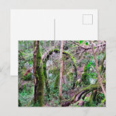 Fairy Portal - Rio de Mouros - Conímbriga - PT Briefkaart (Voorkant / Achterkant)