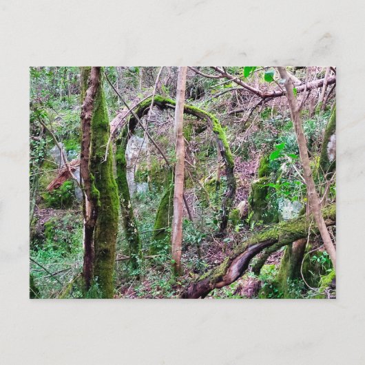 Fairy Portal - Rio de Mouros - Conímbriga - PT Briefkaart (Voorkant)