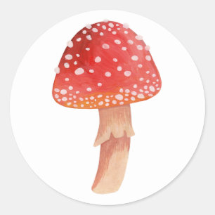 Fairy red paddenstoel. Woodland vliegt agaric. Ama Ronde Sticker