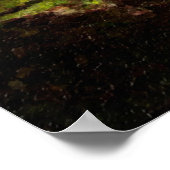 Fairy Shadow Poster (Hoek)