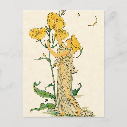 Fairy Tale, Evening Primrose, Walter Crane Briefkaart (Voorkant)