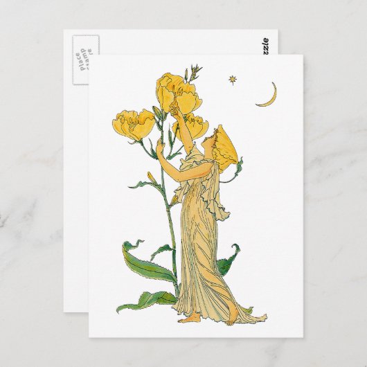 Fairy Tale, Evening Primrose, Walter Crane Briefkaart (Voorkant / Achterkant)