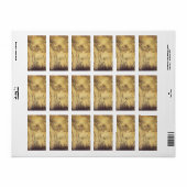  Fairy Tale, Fairy's Tightrope van Rackham Etiket (Full Sheet)